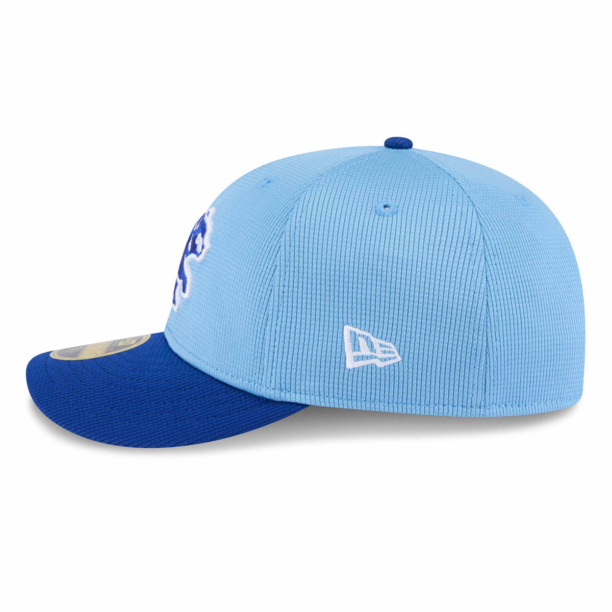 Chicago Cubs New Era 2025 Spring Training Low Profile 59FIFTY with AZ