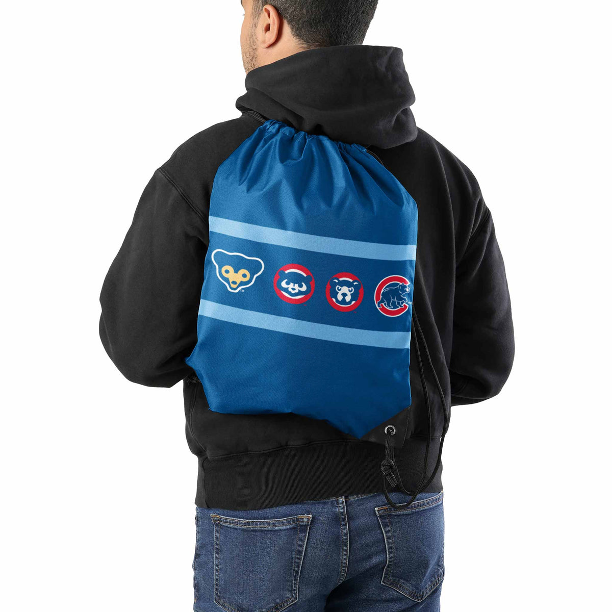 MLB Chicago Cubs Large GoGo Gift Bag