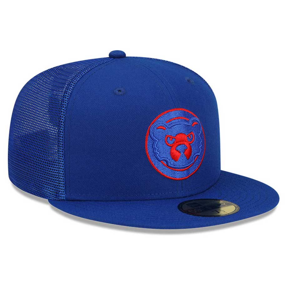 Chicago Cubs 2019 Spring Training Gift Guide