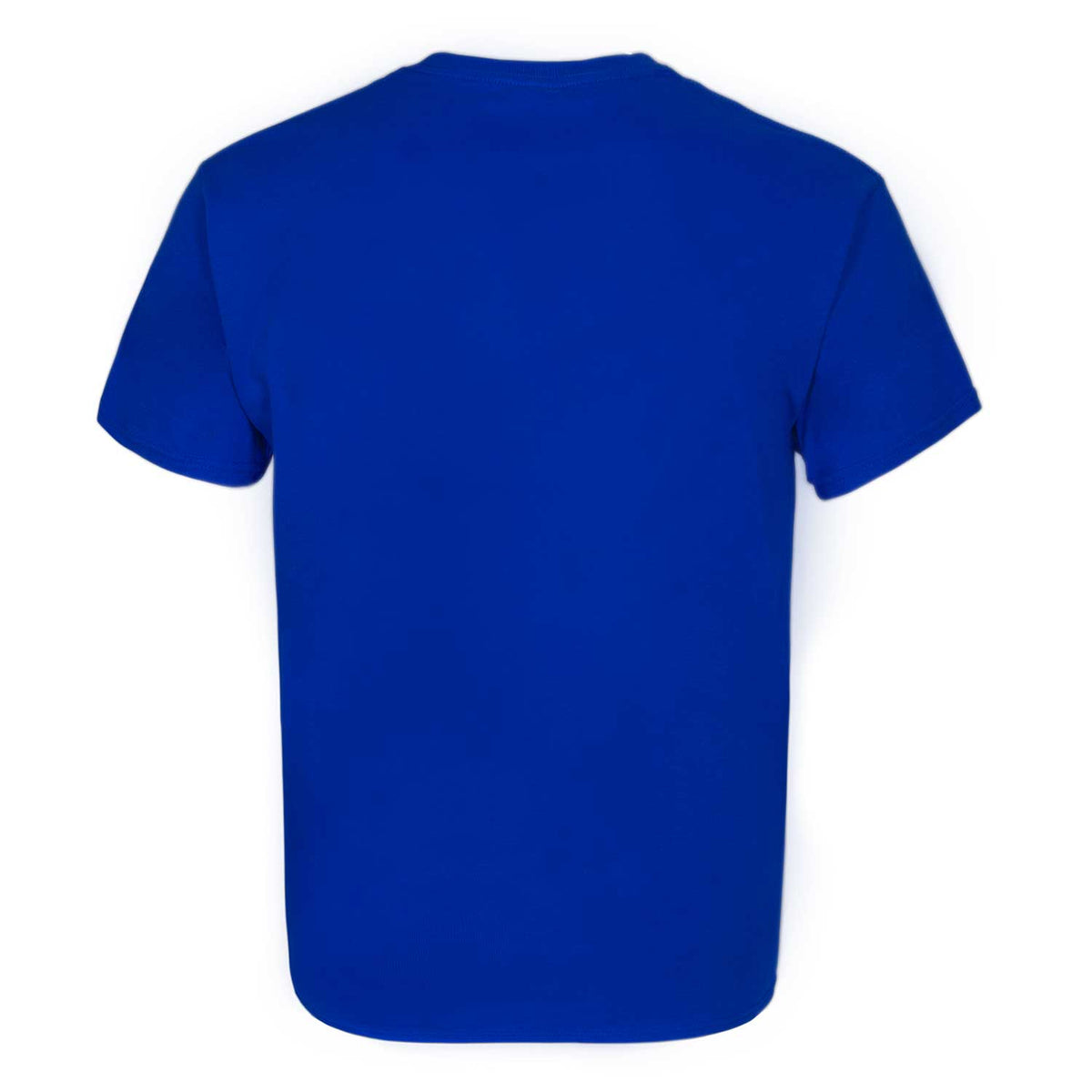  Chicago Cubs Adult Evolution Color T-Shirt (Small, Royal Blue)  : Sports & Outdoors