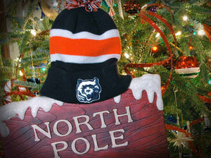 Shop Christmas Gifts for Bears Fans, at Wrigleyville Sports!