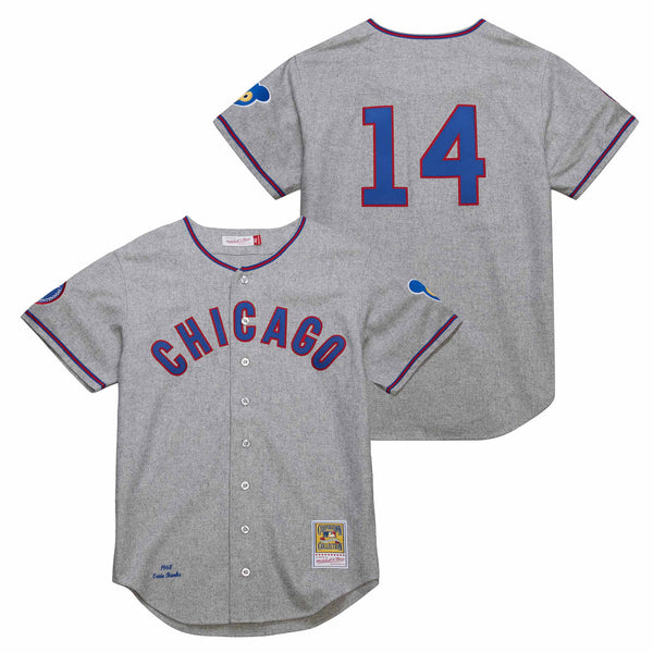 Chicago Cubs Ernie Banks 1968 Mitchell & Ness Authentic Road Jersey