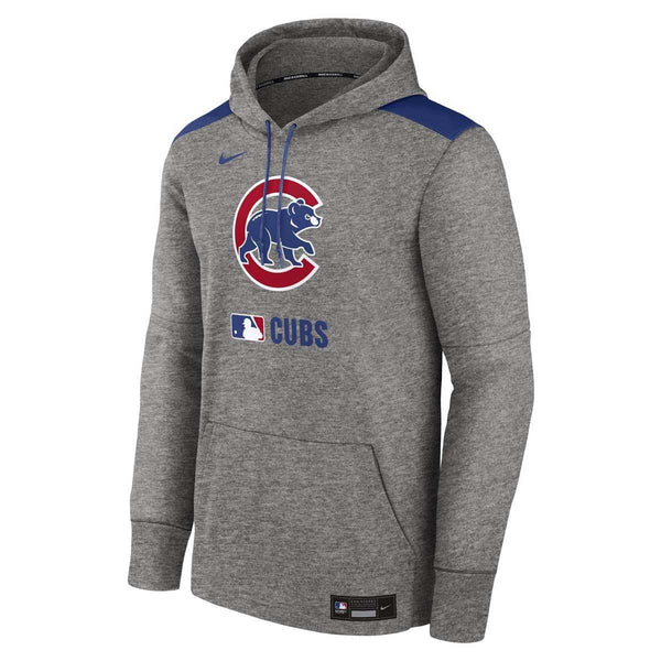 Chicago Cubs 2025 Nike Authentic Collection Grey Hooded Sweatshirt