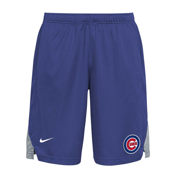 Chicago Cubs Youth Nike Franchise Shorts