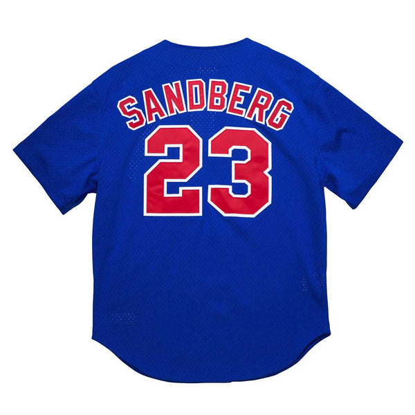 Chicago Cubs Ryne Sandberg Nike Alt Replica Jersey with Authentic Lettering X-Large